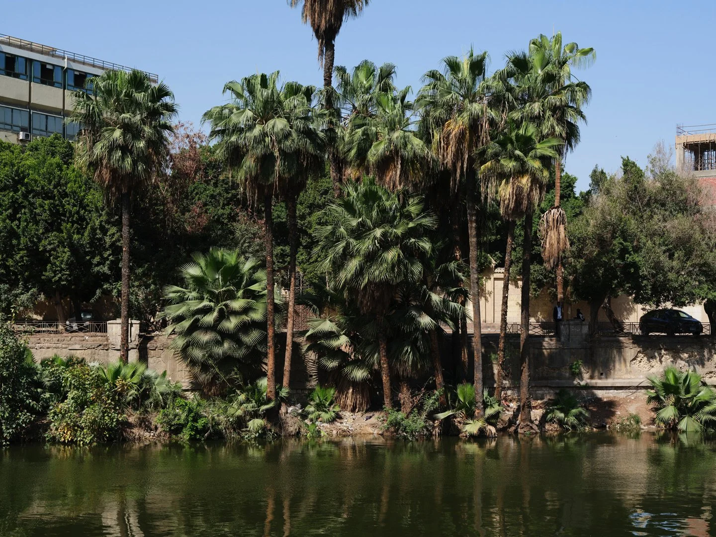 MCL_Cairo-Cityscapes_2026-50.jpg