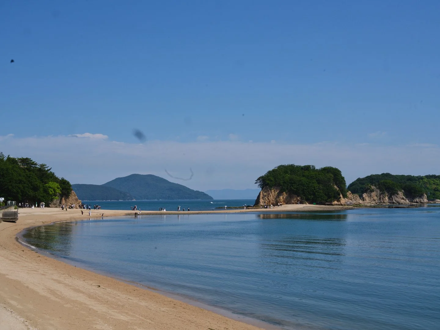 MCL_Japan-selection2026_140.jpg