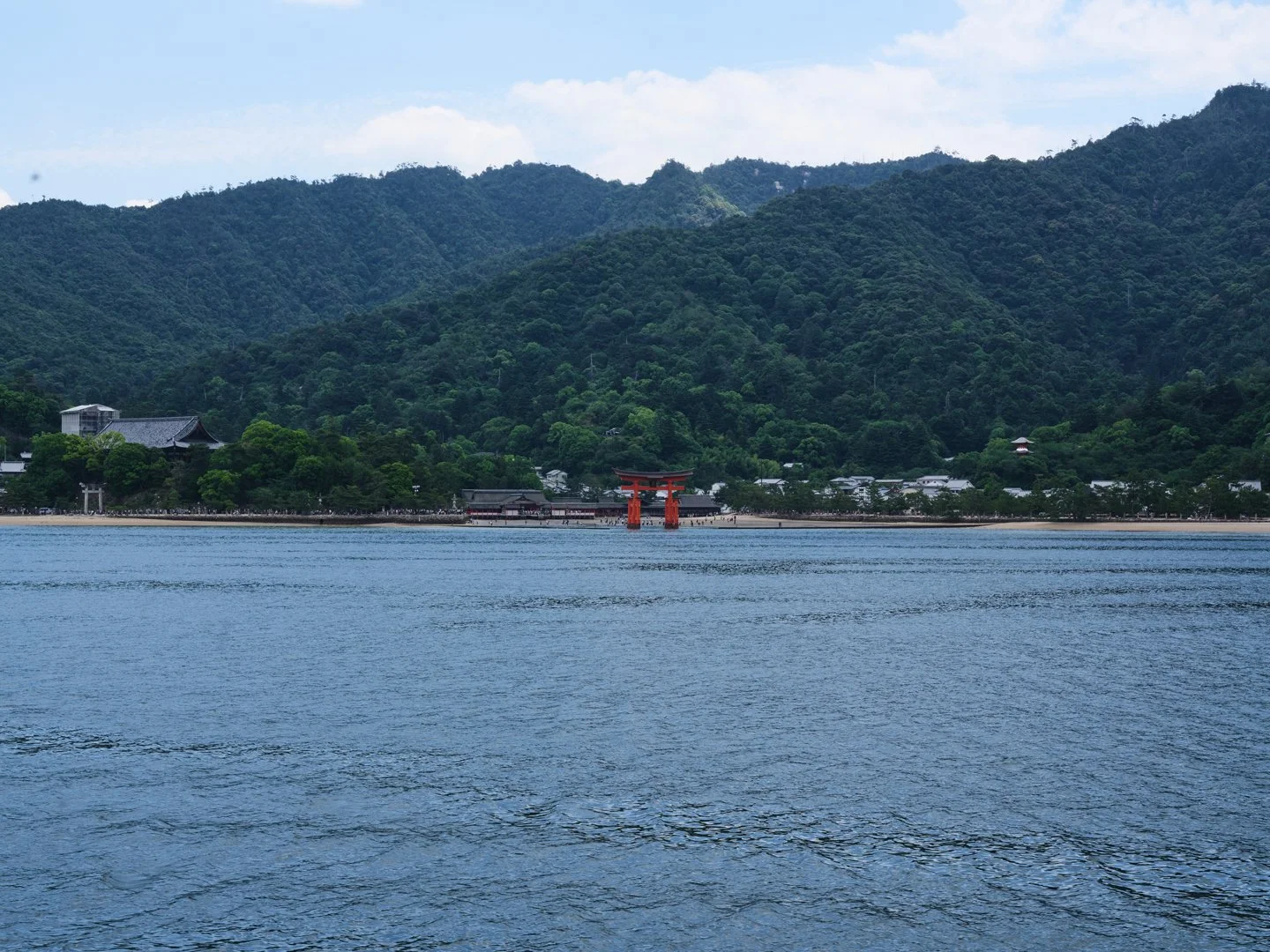 MCL_Japan-selection2026_34.jpg