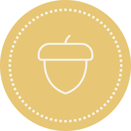 Minimalist icon of an acorn within a gold circle border.