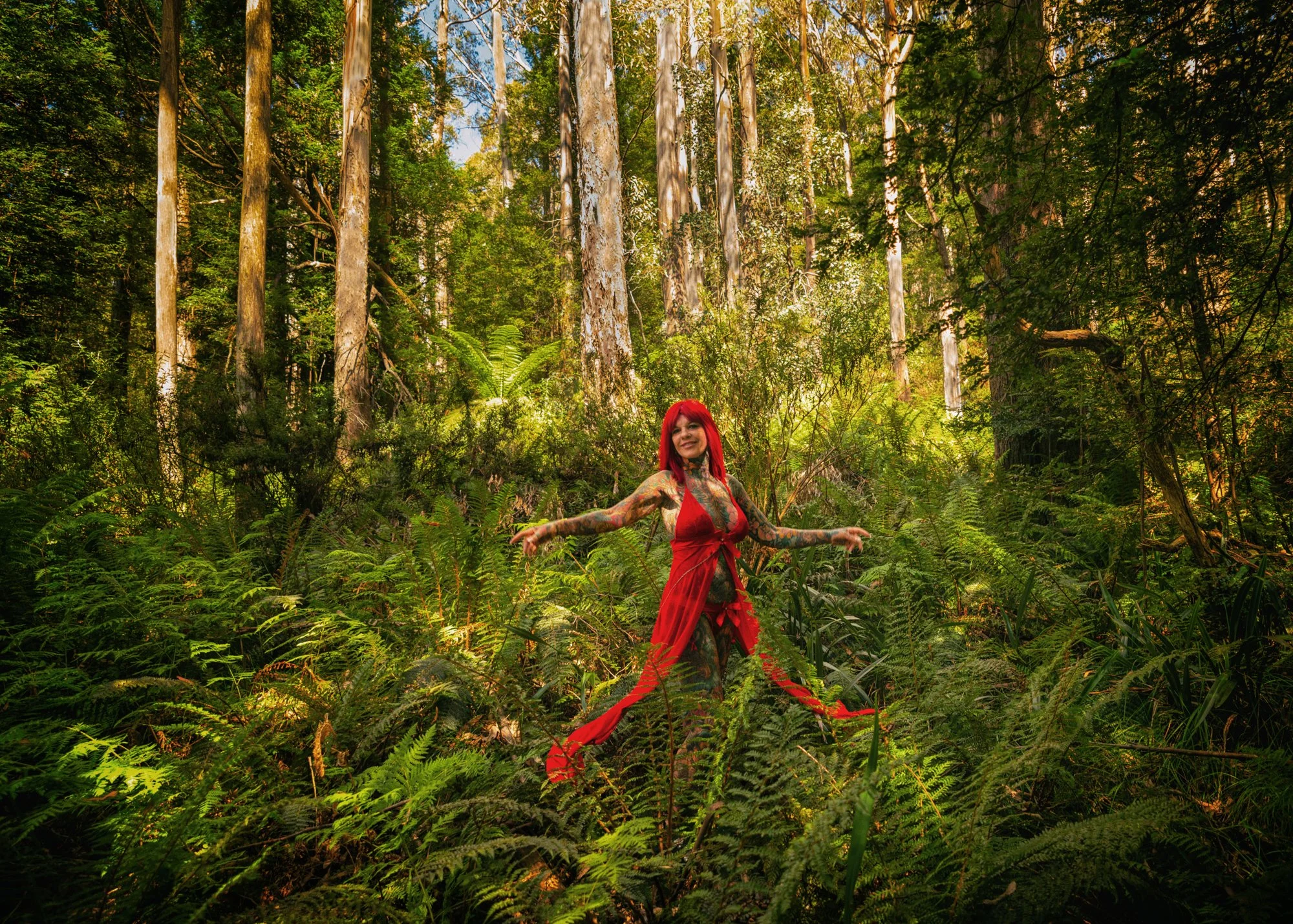 Gayle wide forest v4 2Mb.jpg