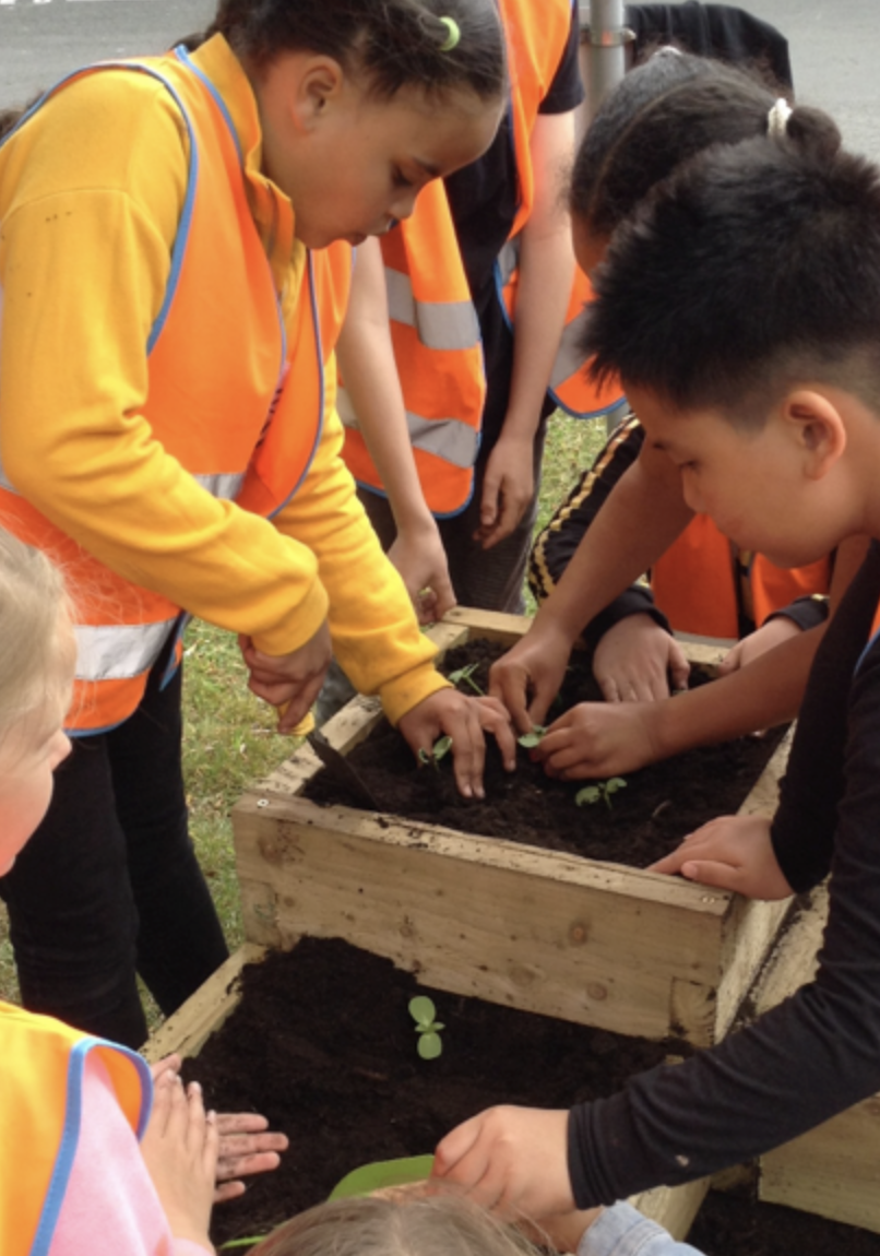 Children planting seeds in a wooden garden bed outdoors, with adults supervising.
