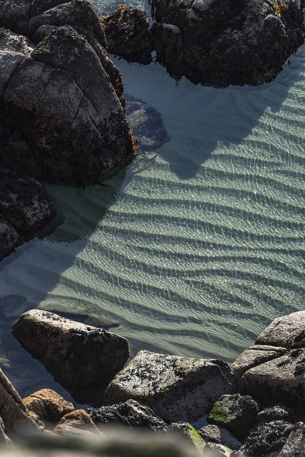 Undulate Pool. Cornwall