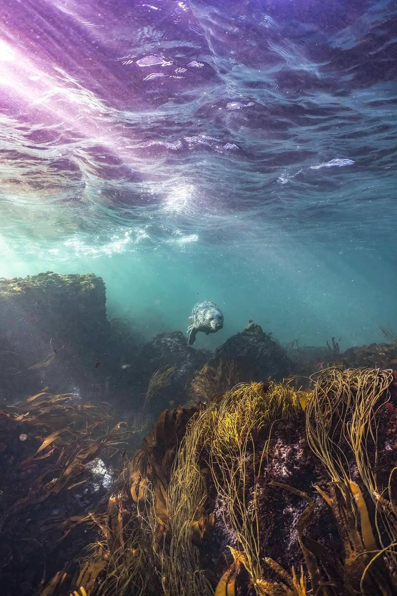 Late Afternoon Cruise. Cornwall