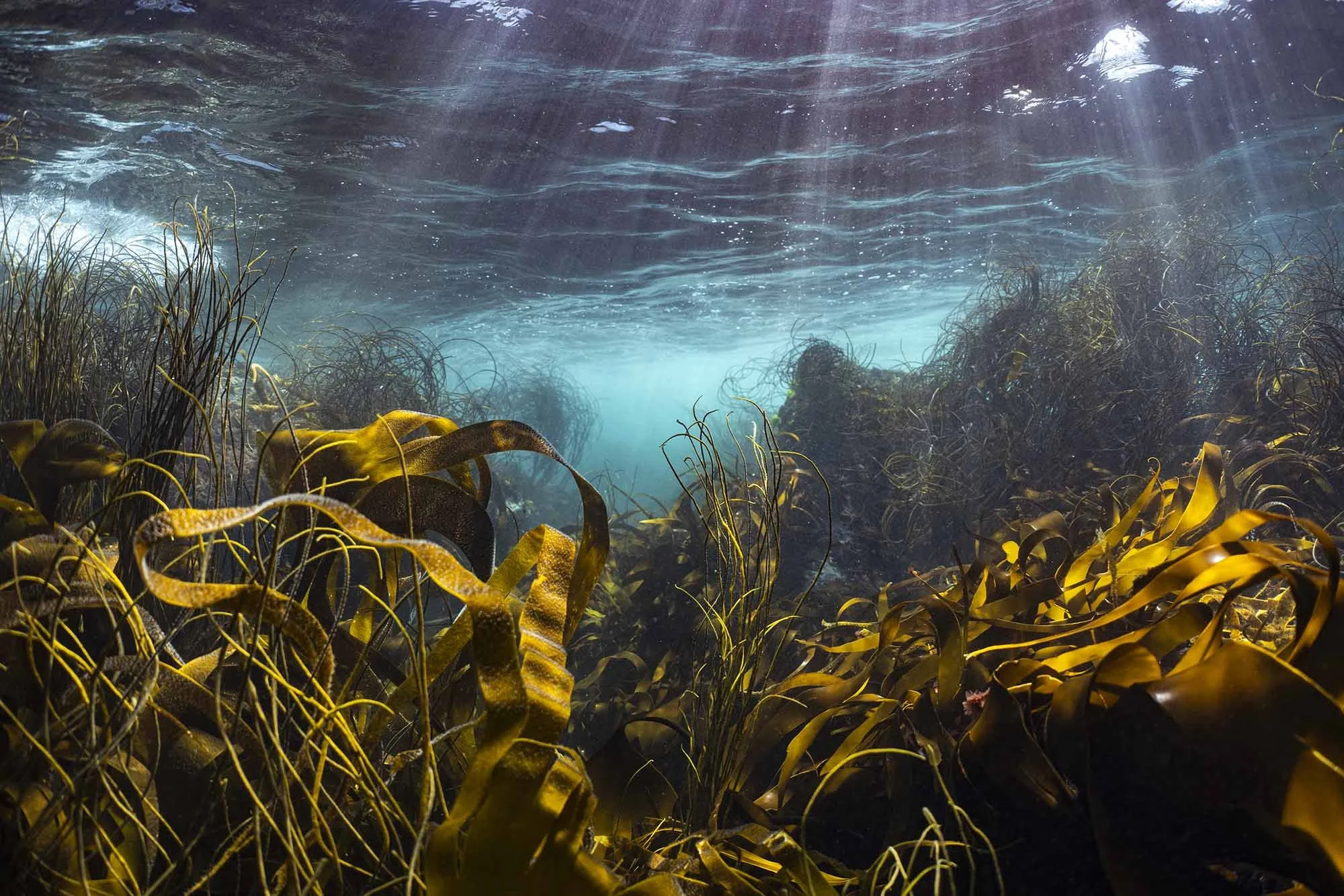 After John Martin. Cornwall