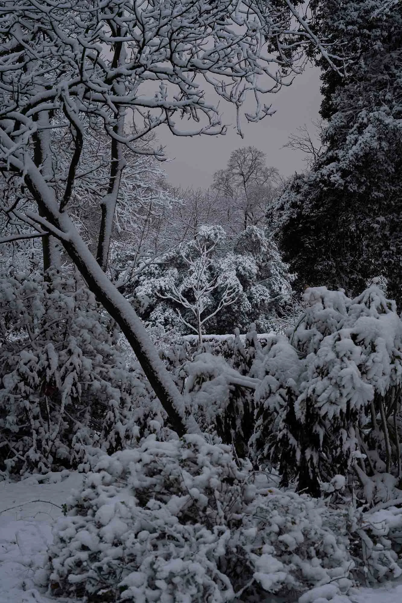 Silent Morning. Victoria Park, London