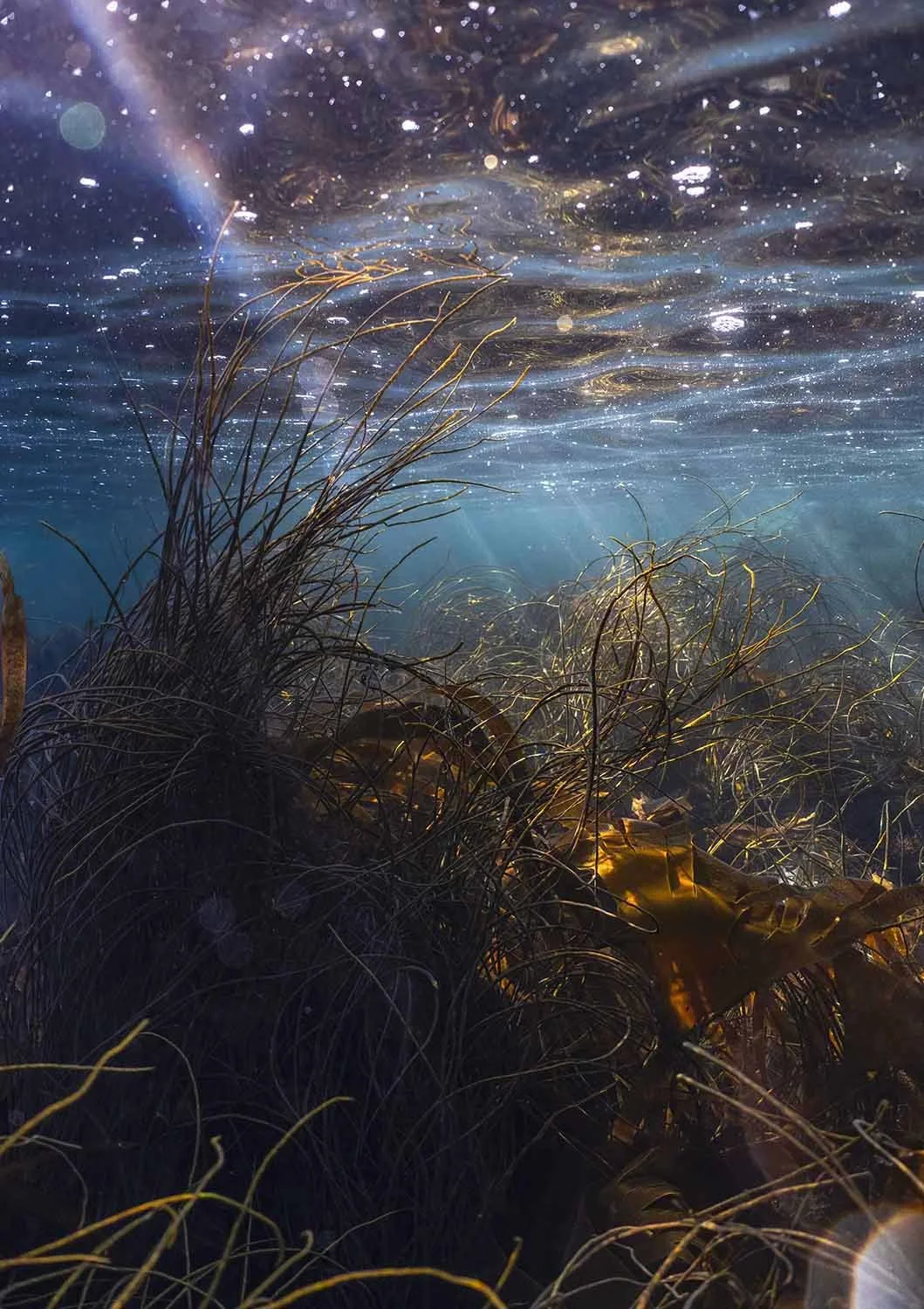 Crystal Lasering. Cornwall