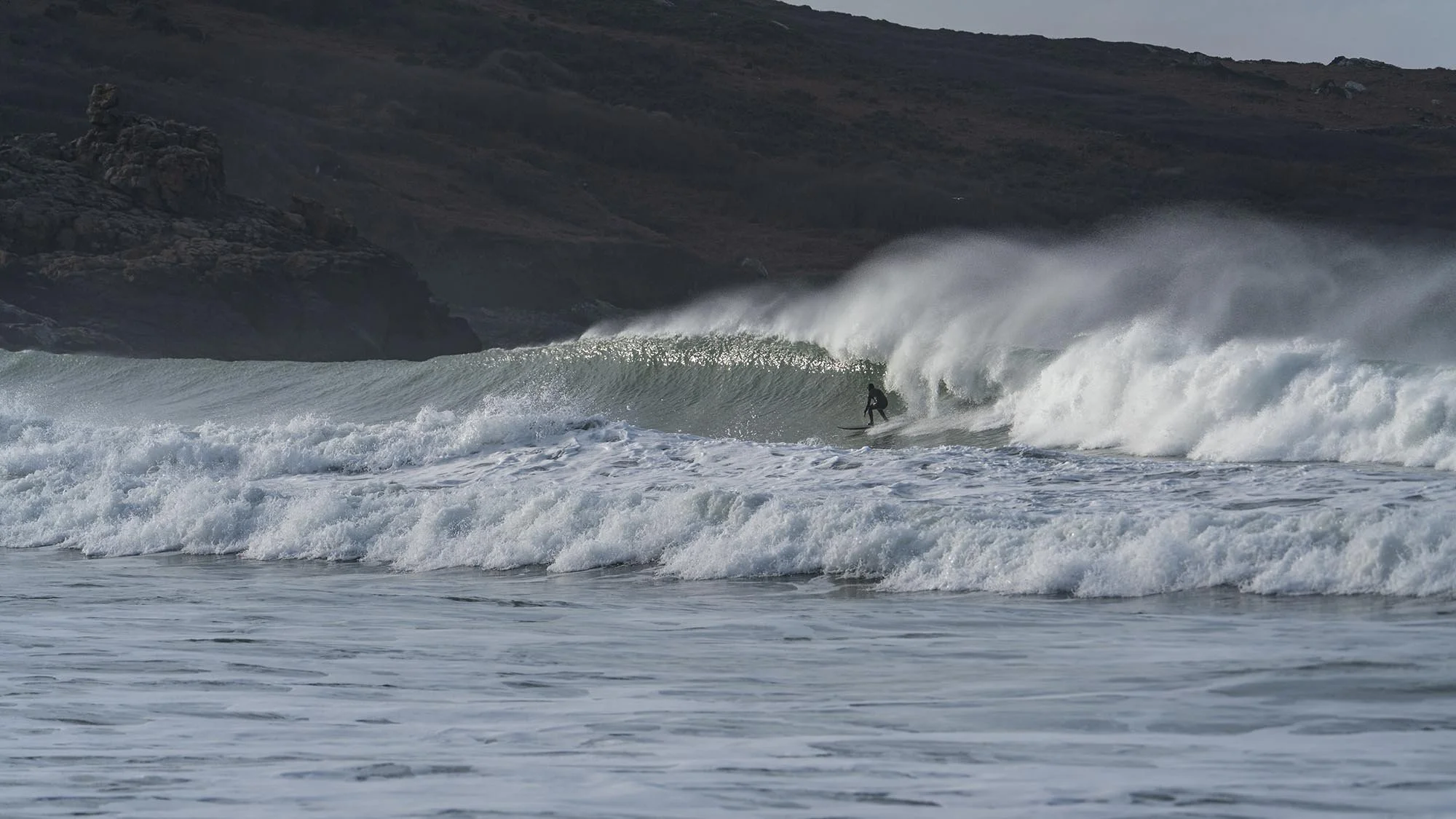 _DSC1270-2 2000px.jpg