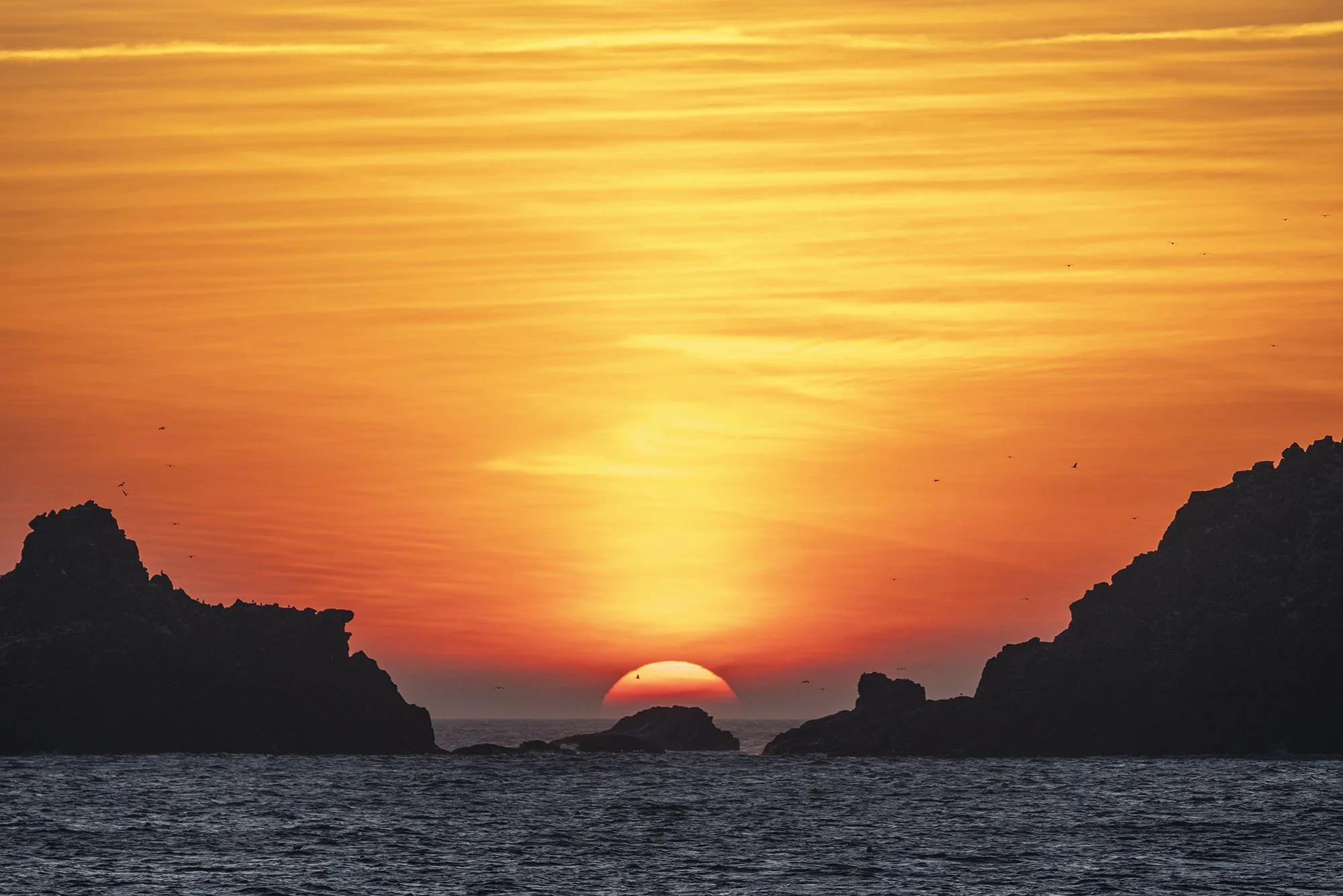 Sunset Nestling. Cornwall