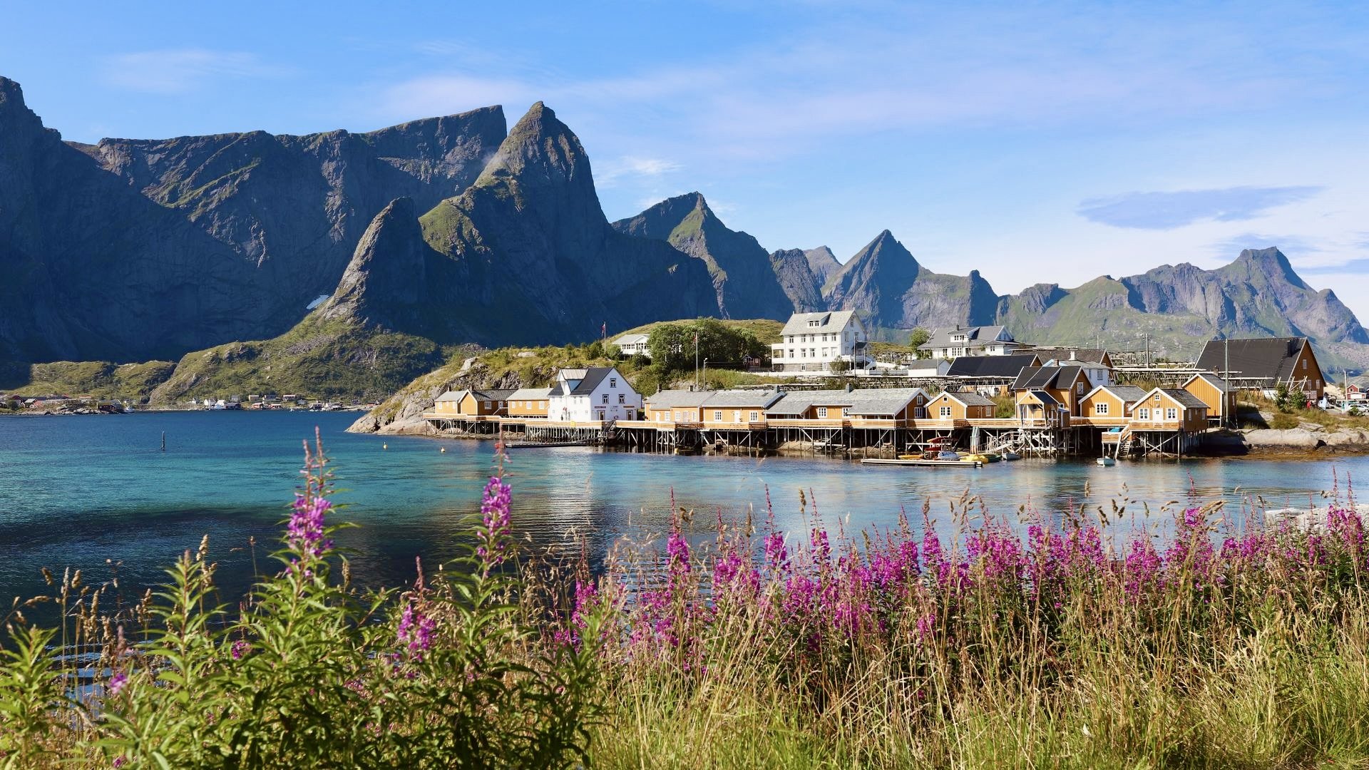 Lofoten -Reine-in-summer.jpeg