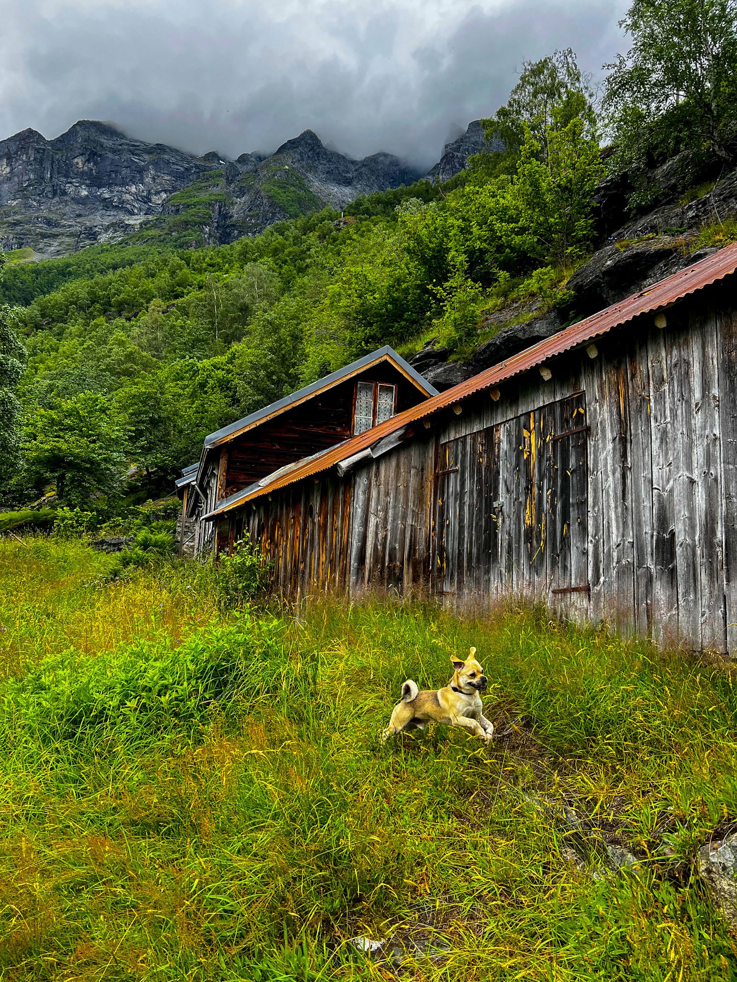 SUMMER 2025- island hopping in Lofoten