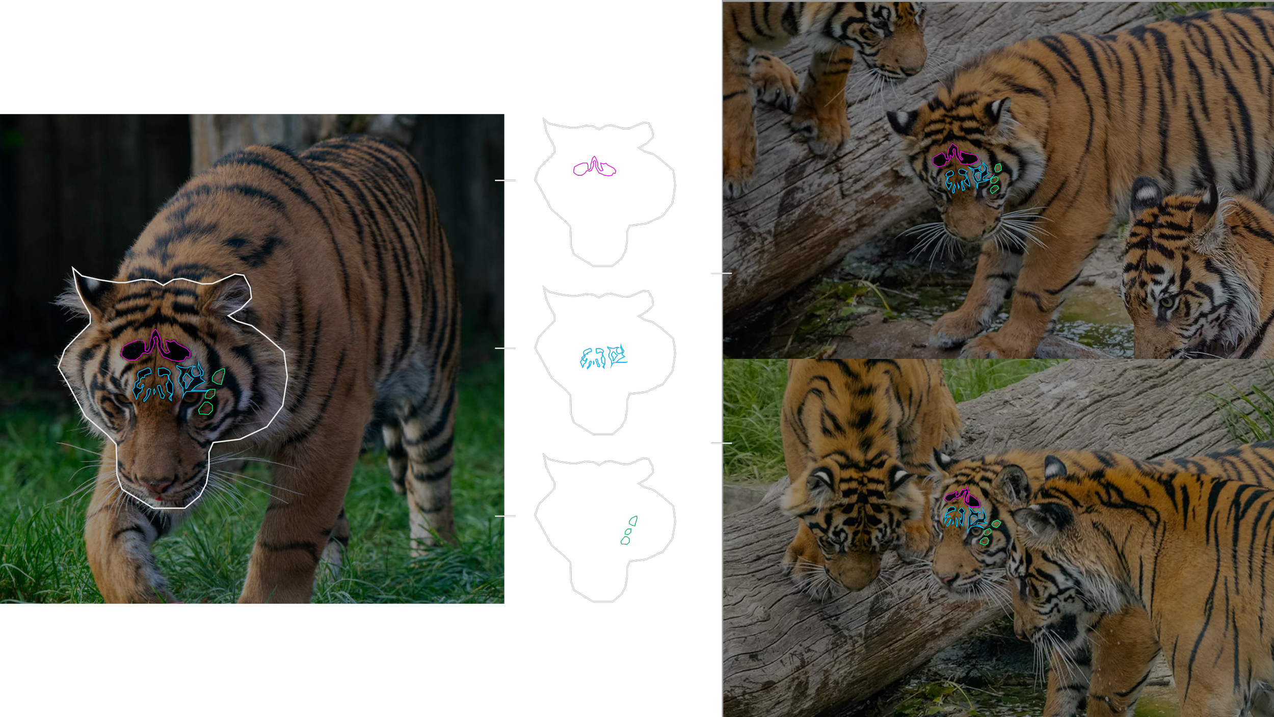 Camouflage Visual Analysis 2.png