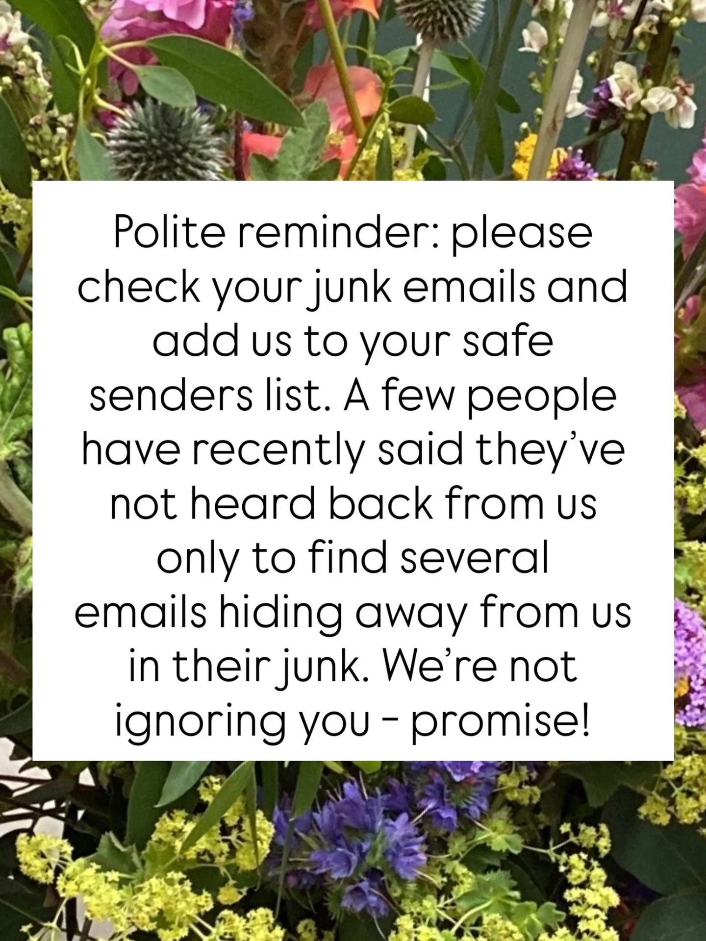 Just in case you were wondering if you&rsquo;ve missed an email from us - please check your junk file, sadly we seem to have ended up there for a few people! 

P.S. it is Mother&rsquo;s Day madness here as well, so if you genuinely haven&rsquo;t got 