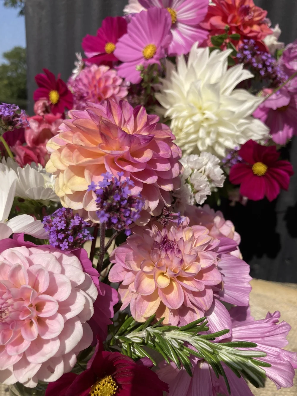 Gallery — Gingerly Green Flower Farm