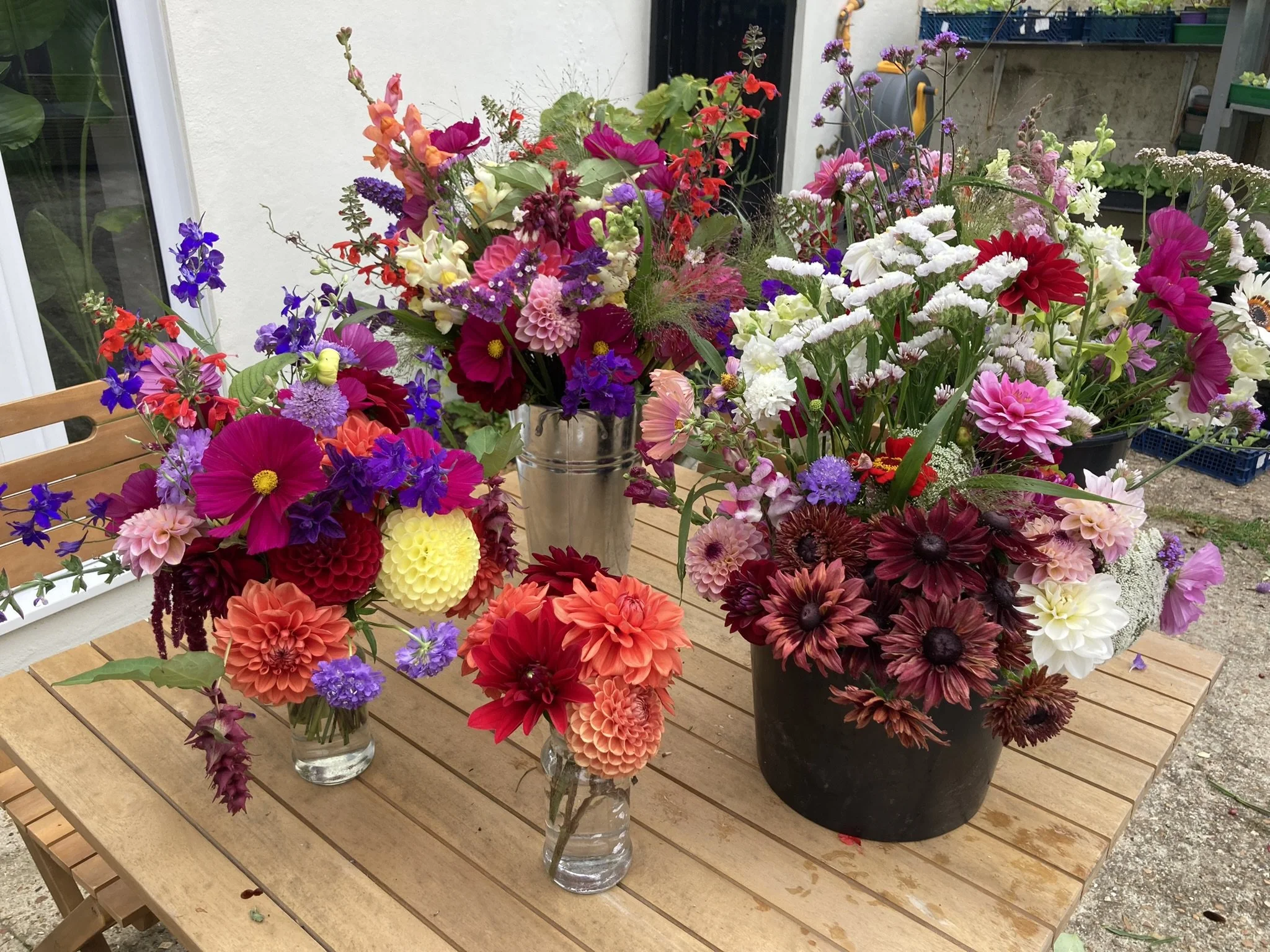 PYO Flowers — Gingerly Green Flower Farm