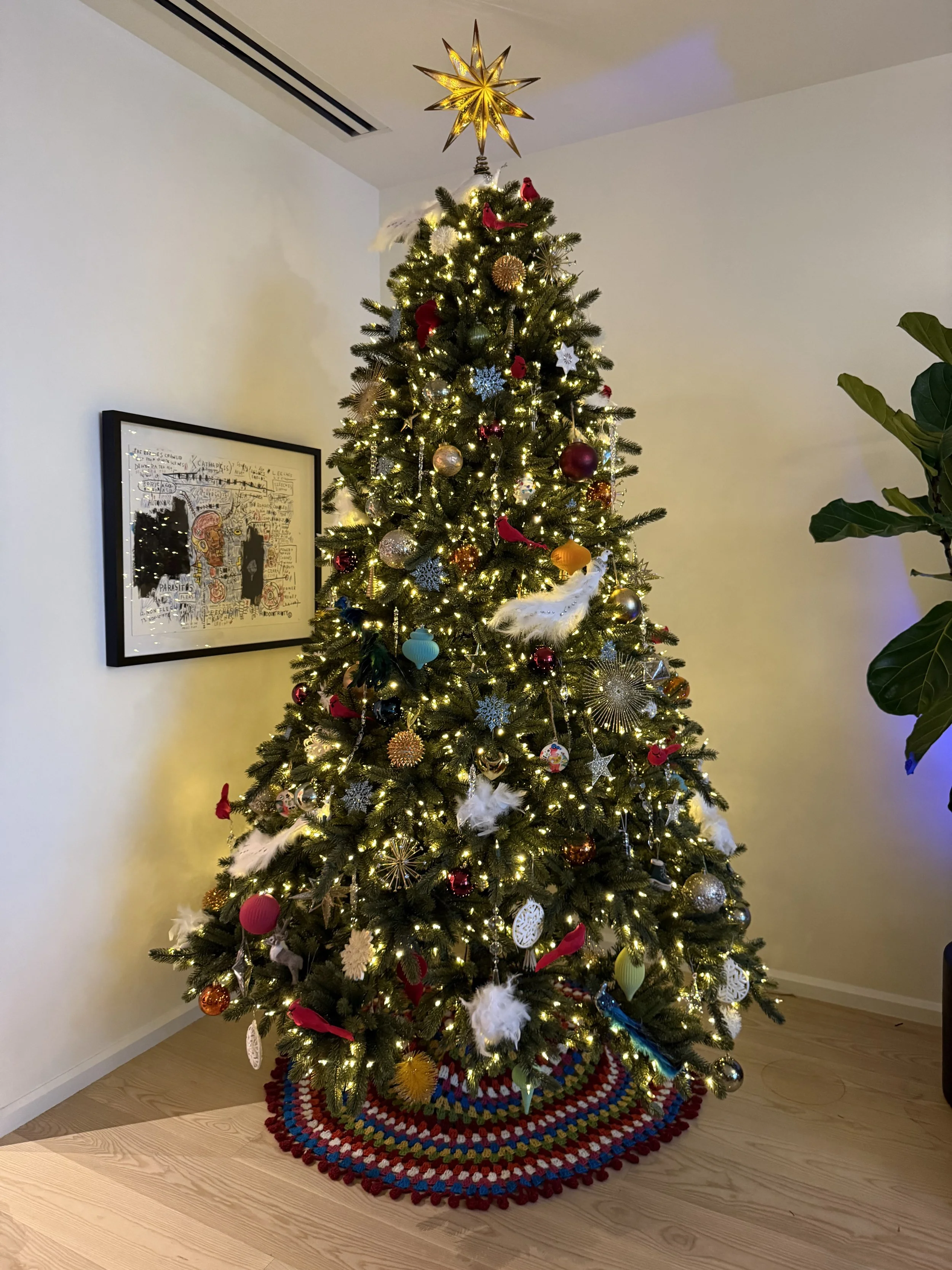 IMG_0383.jpeg