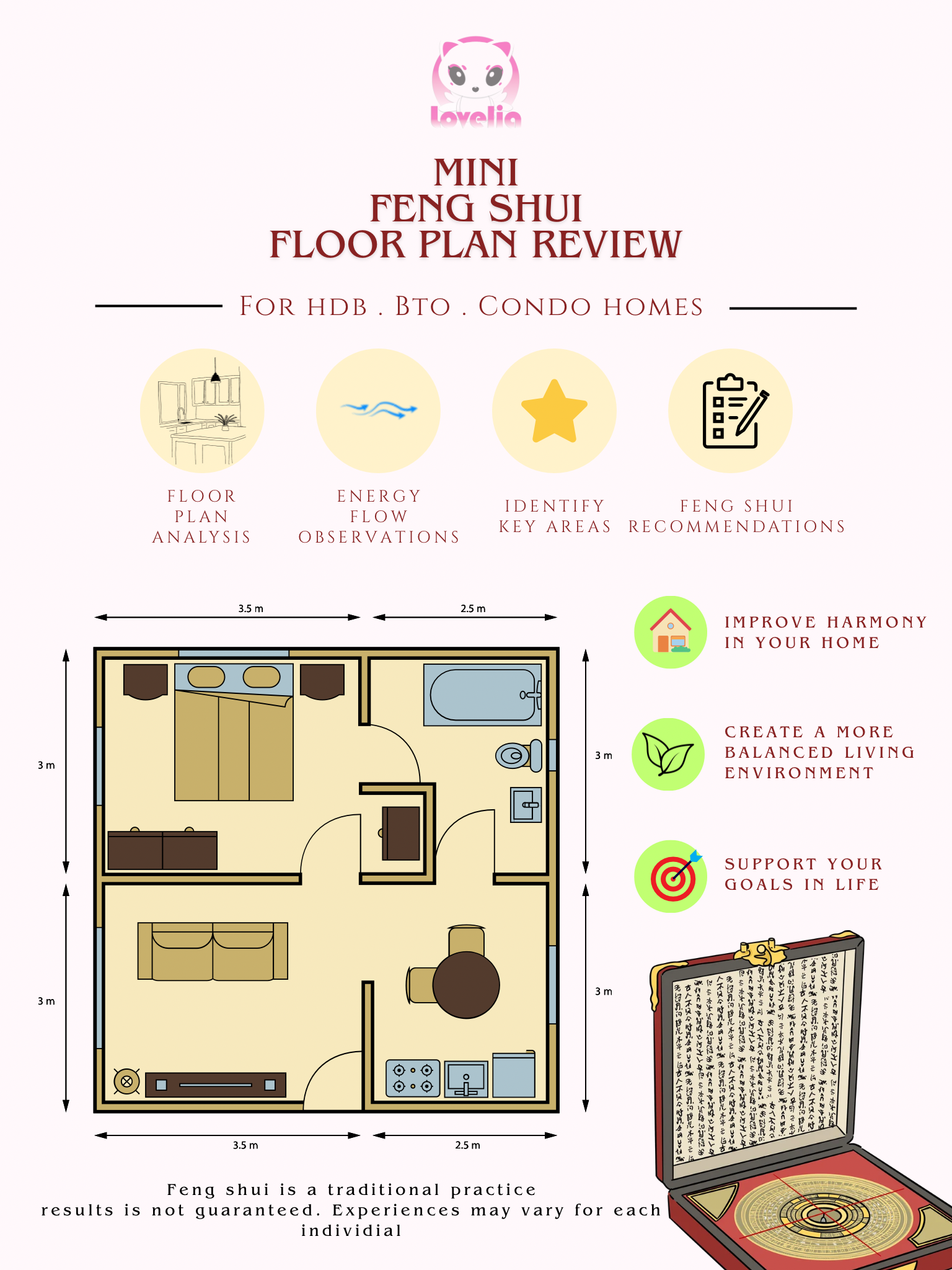 Mini Home Feng Shui Review