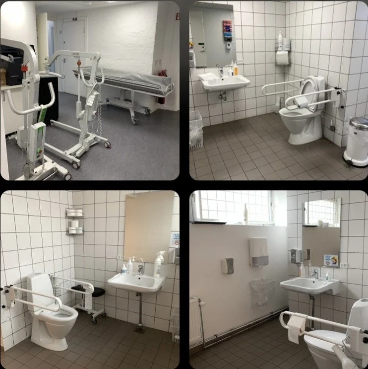 Lavuk is a place for adults with disability to be social, get to know other people and have some hobbies. The photo shows the different disable toilets that need to be transformed