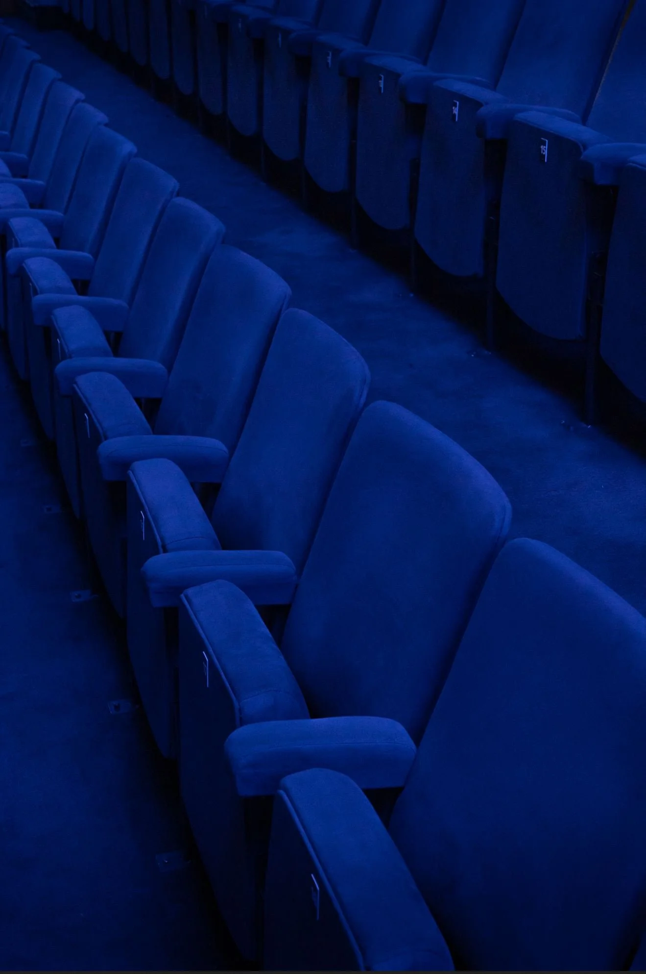 09 qualidade reduzida.JPG