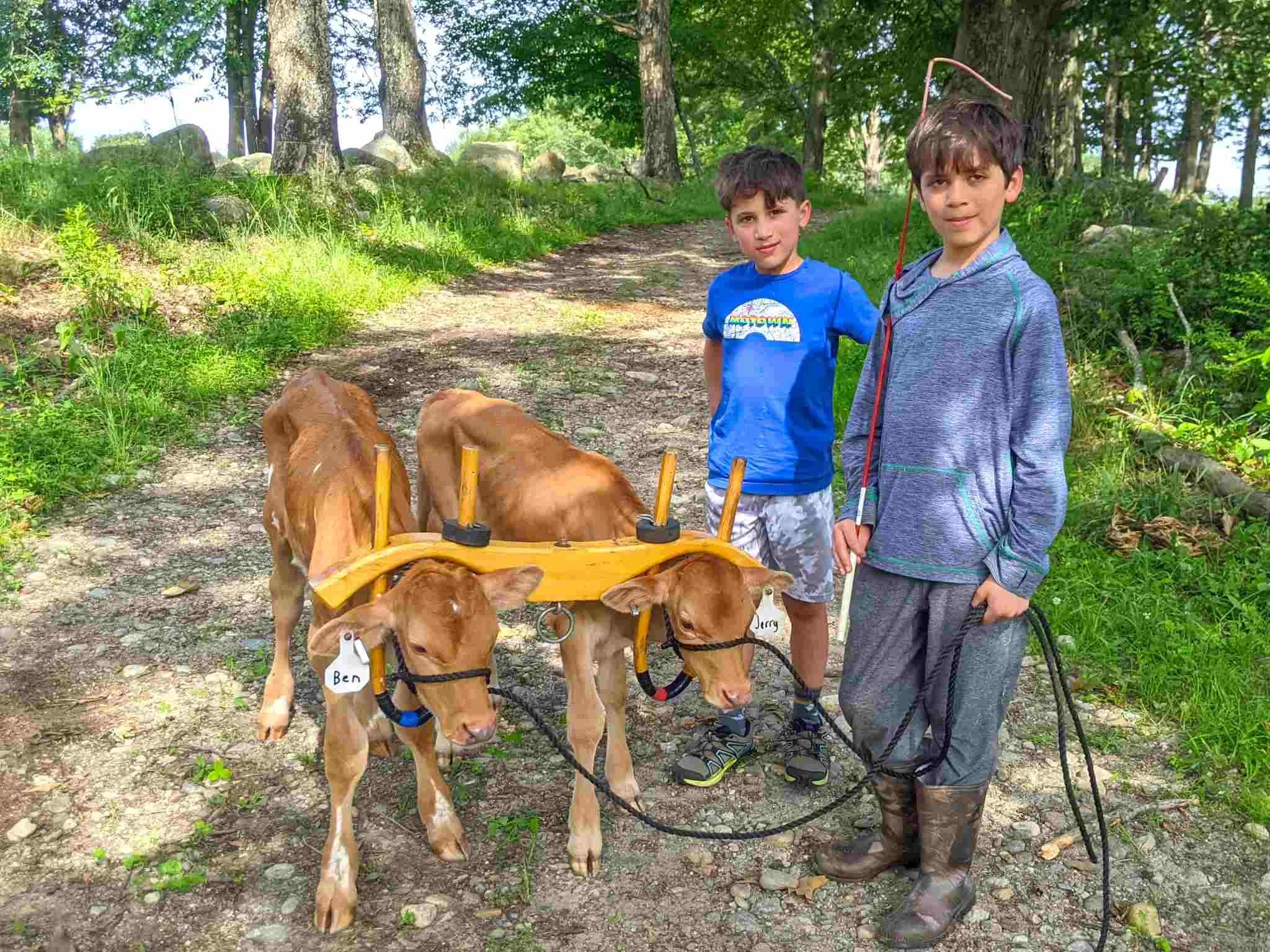 Next Generation of Ox Drivers