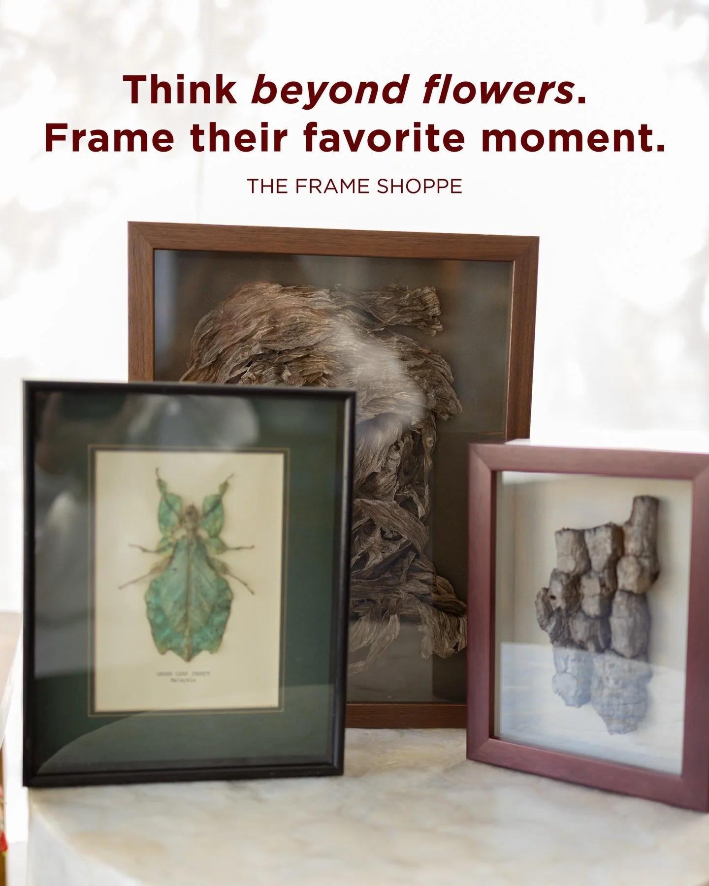 Think beyond flowers.
Frame what matters.

From found objects to meaningful keepsakes, these pieces tell a story worth preserving. Custom framing allows us to thoughtfully protect and display the moments, textures, and memories that hold personal sig
