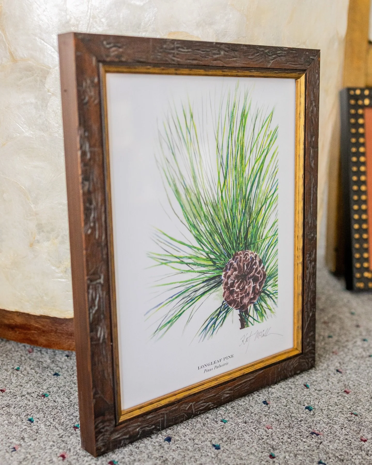 Longleaf Pine by Kat McCall

There is something distinctly Southern about this piece. The softness of the pine needles. The structure of the cone. The quiet strength it represents.

To frame it, we chose a richly carved wood moulding paired with a wa