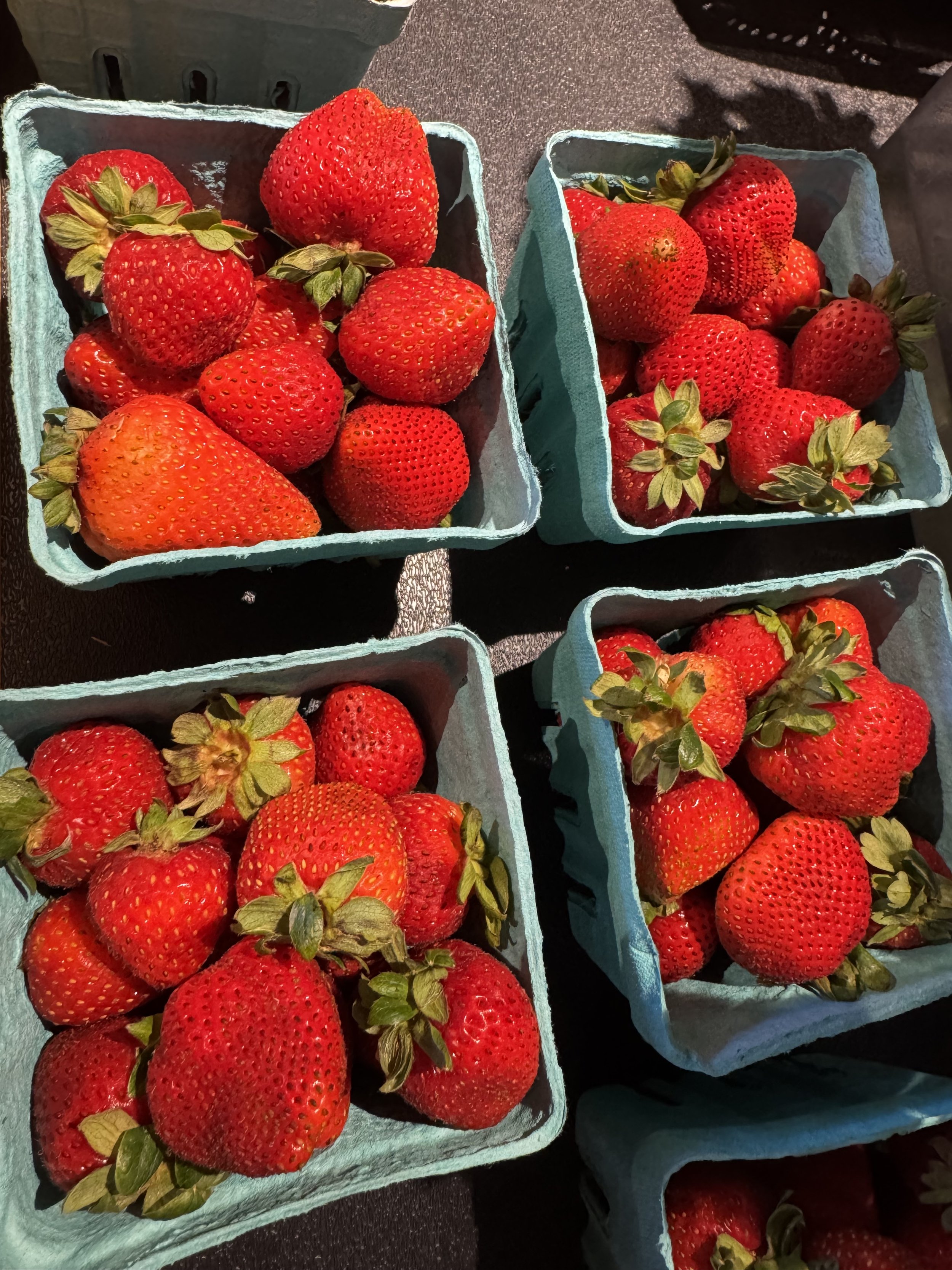 Cartons of fresh strawberries