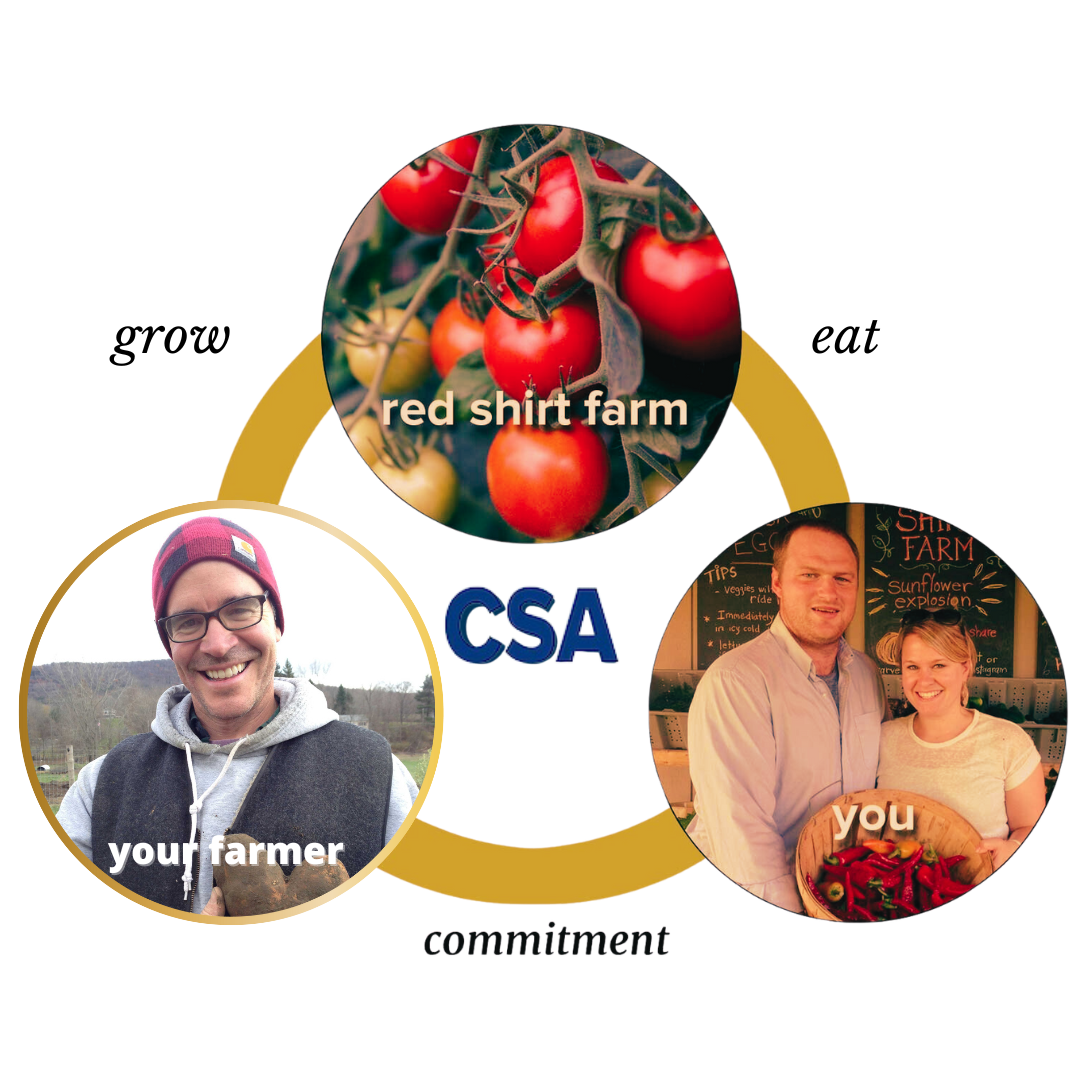 Red Shirt Farm CSA graphic showing the relationship between farm, farmer, and member — grow, eat, commitment