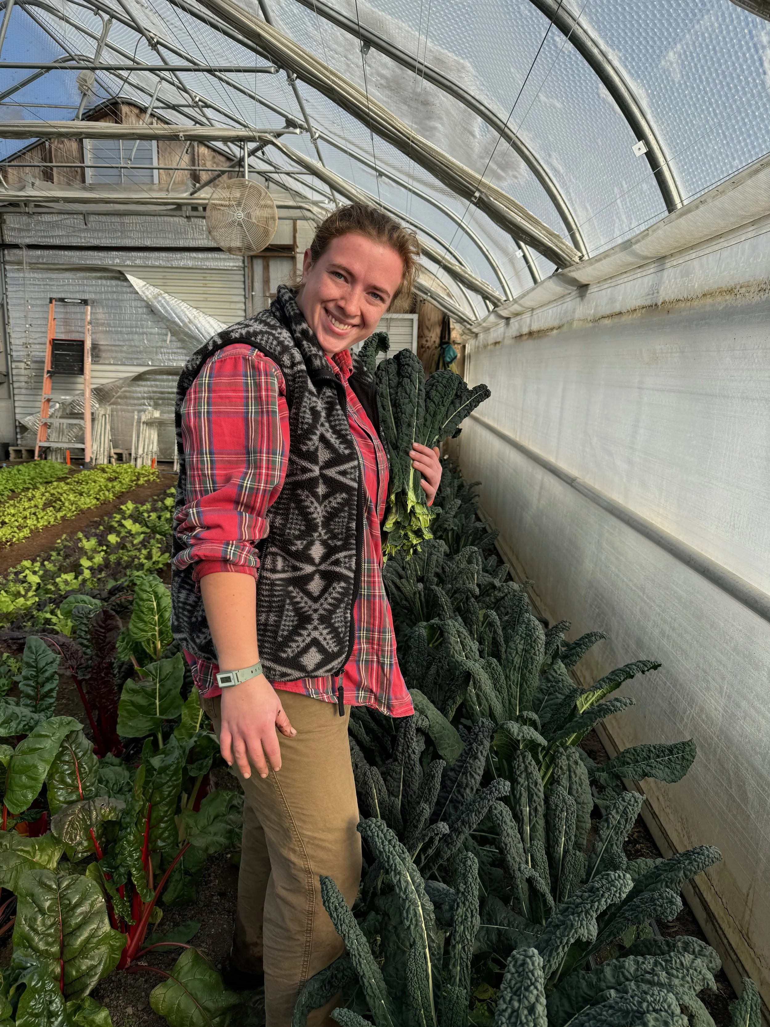 A woman in a plaid shirt and vest holding kale inside a winter greenhouse