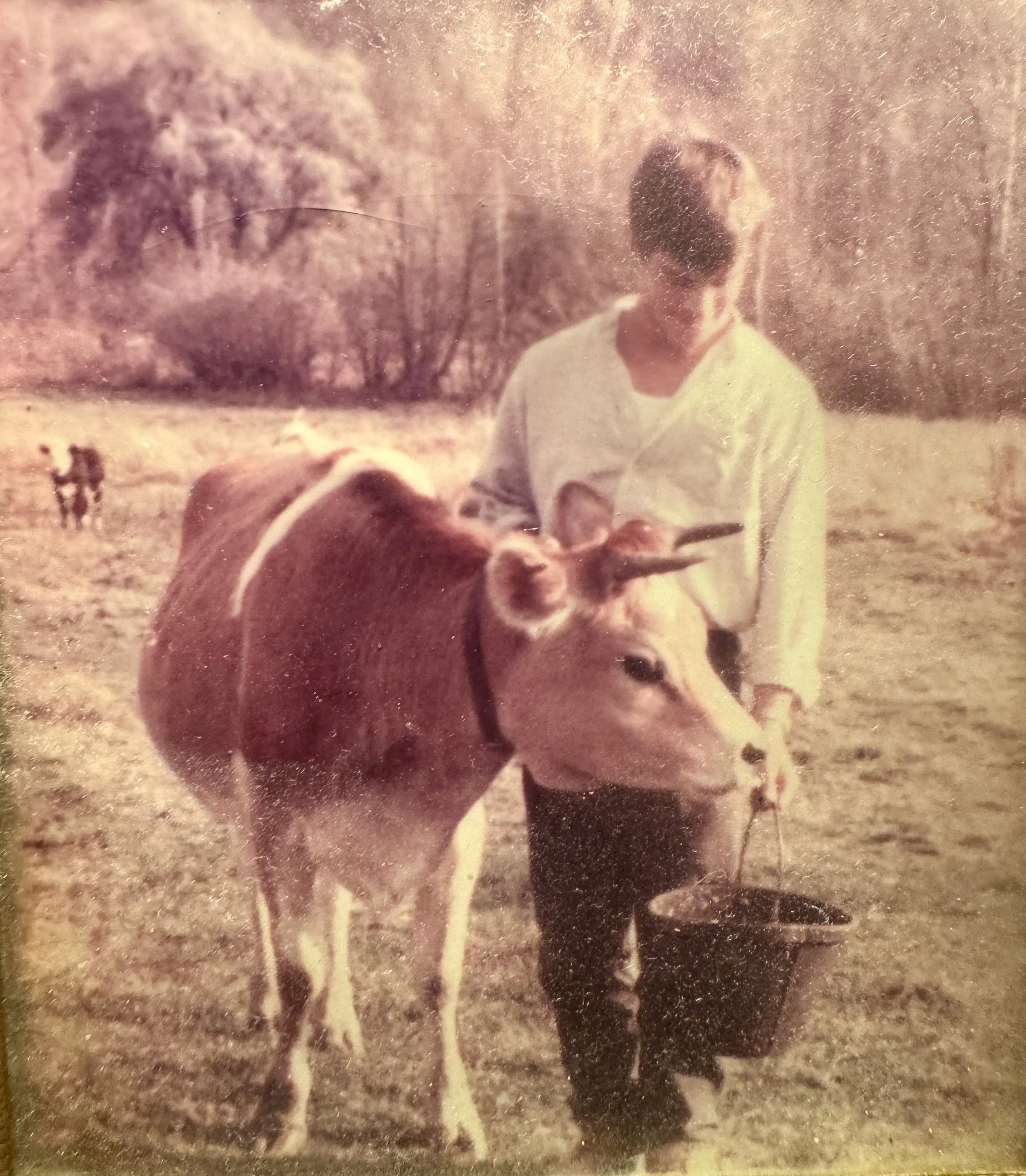 A faded vintage photograph of a young person outdoors on a farm
