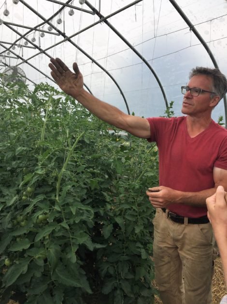 With Thoughtfulness, Care, and Innovation, Red Shirt Farm Thrives