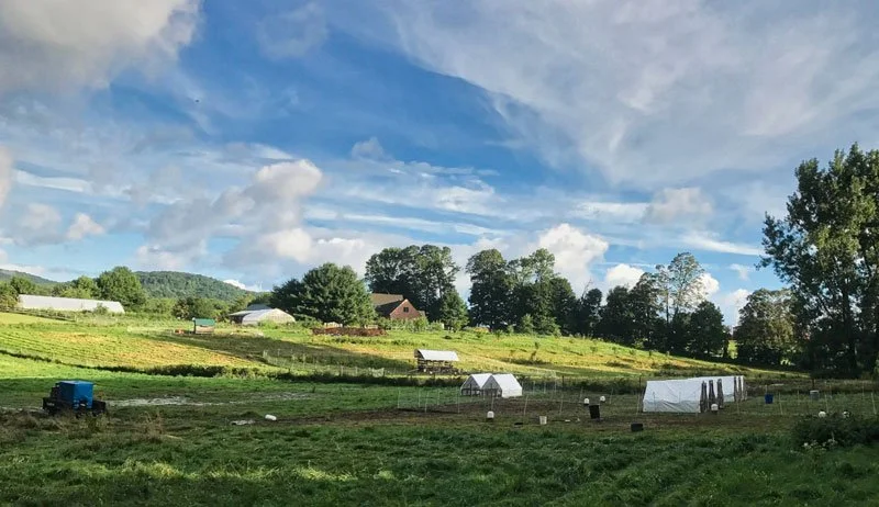 Jim Schultz’s Red Shirt Farm Is a True Success Story