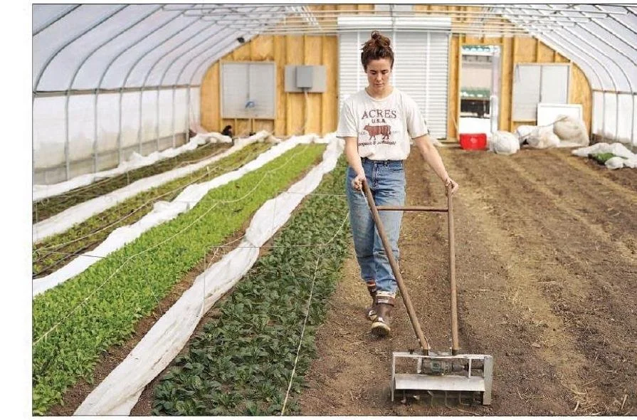 Nurturing Nature: A Greenhouse Photo Essay