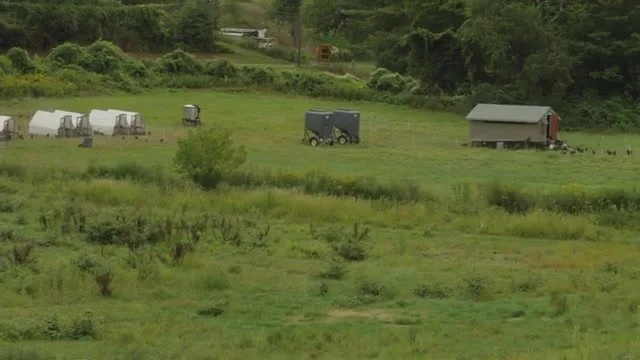 Video Highlight: Red Shirt Farm, from Berkshire Grown