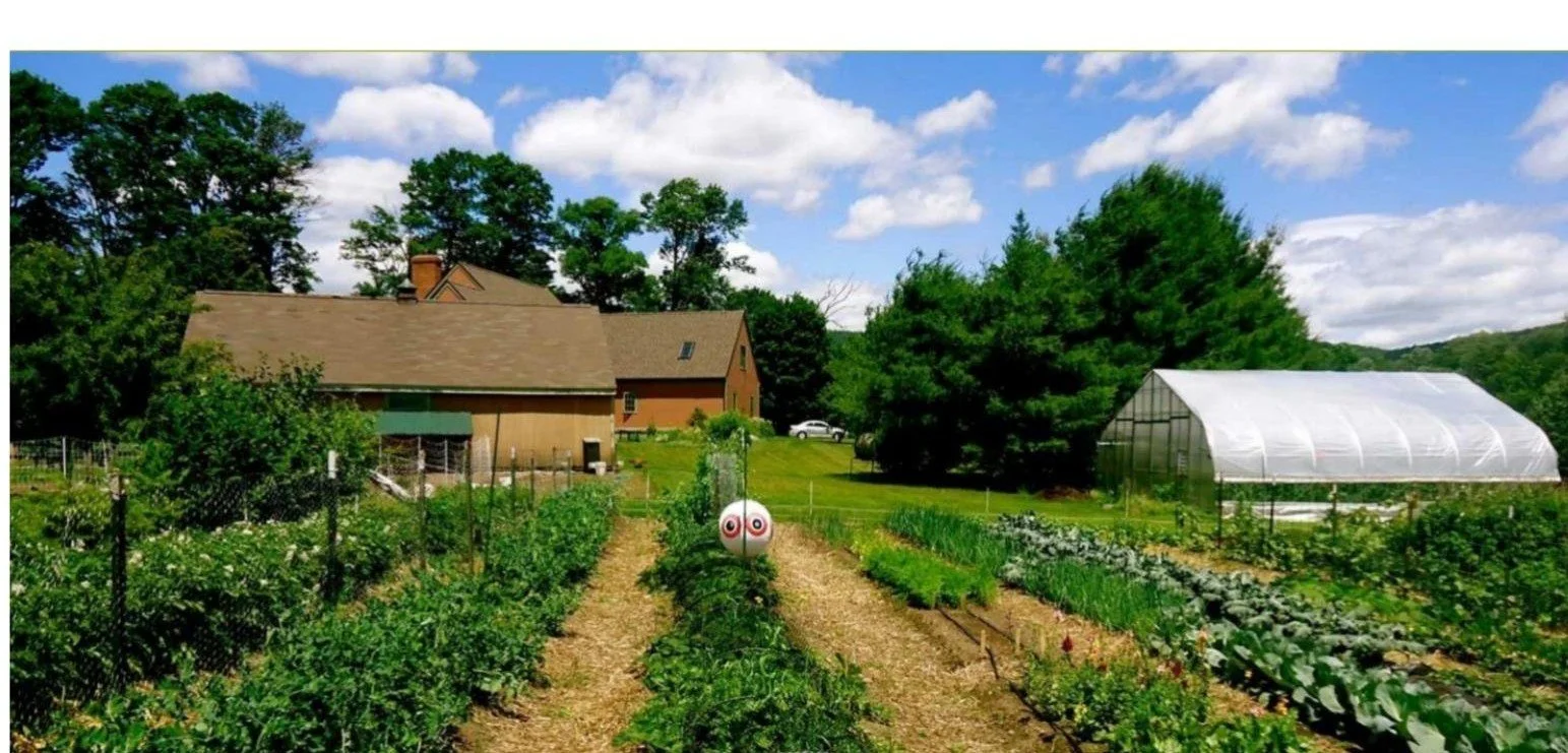 Business Monday: Spotlight on Red Shirt Farm