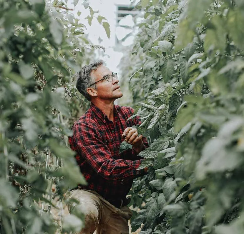 No-Tillers Embrace Tech: Massachusetts Farm Advocates for Wise Use of Equipment and Regenerative Practices