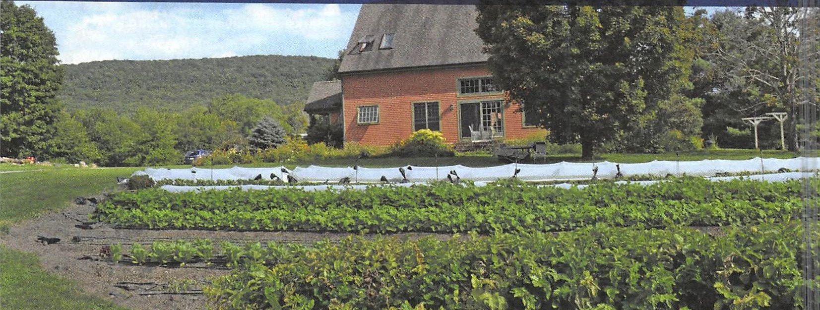 Redshirting: The Schultz Family’s Long Road to Red Shirt Farm