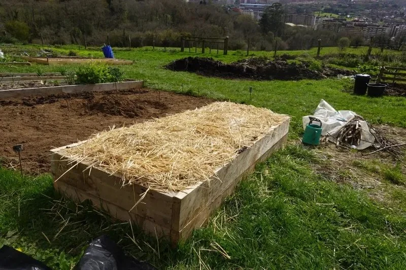 Straw or hay mulch can protect and feed your garden over the winter