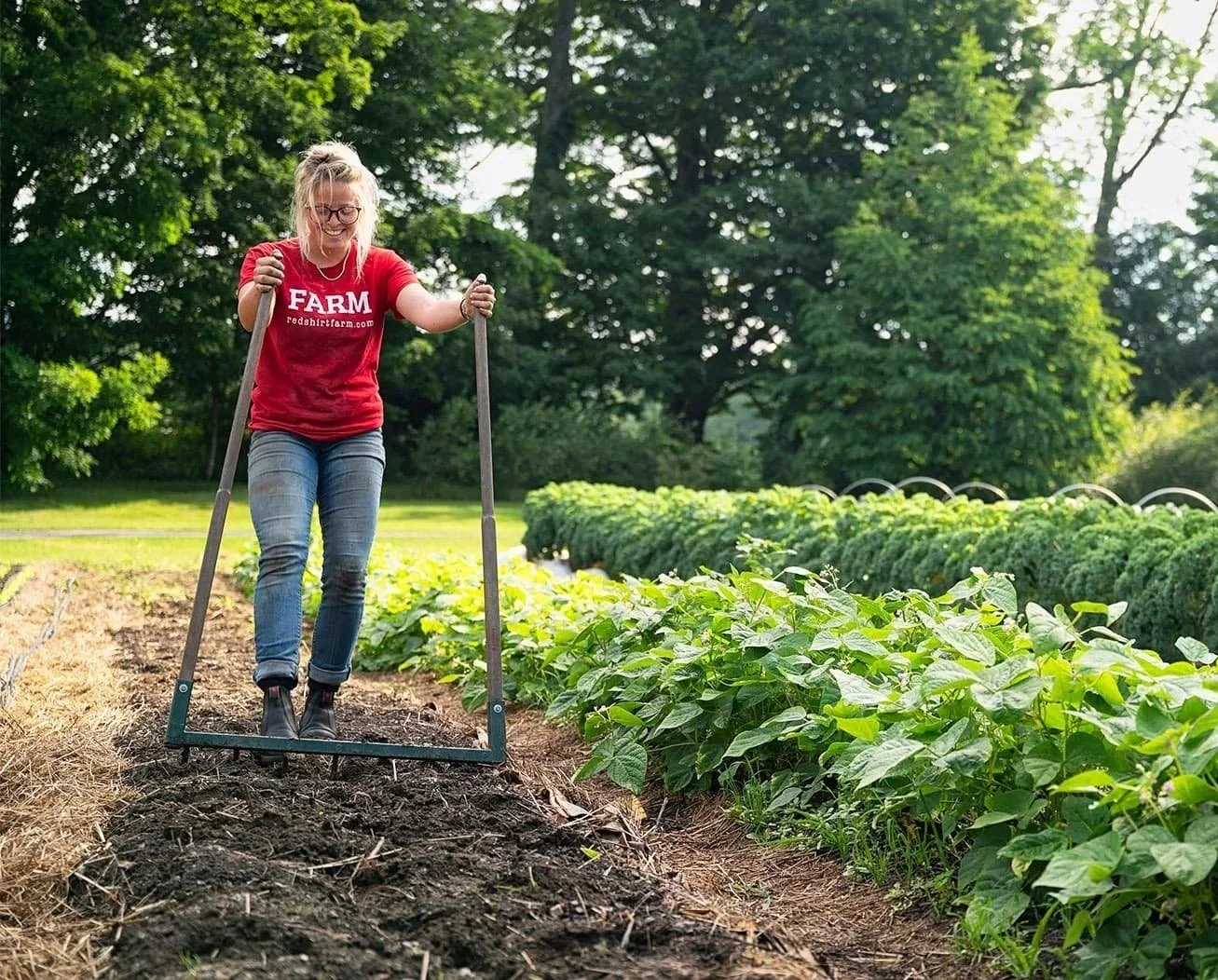 Farm worker broad-forking vegetable rows at Red Shirt Farm in Lanesborough MA with beans and kale growing in summer