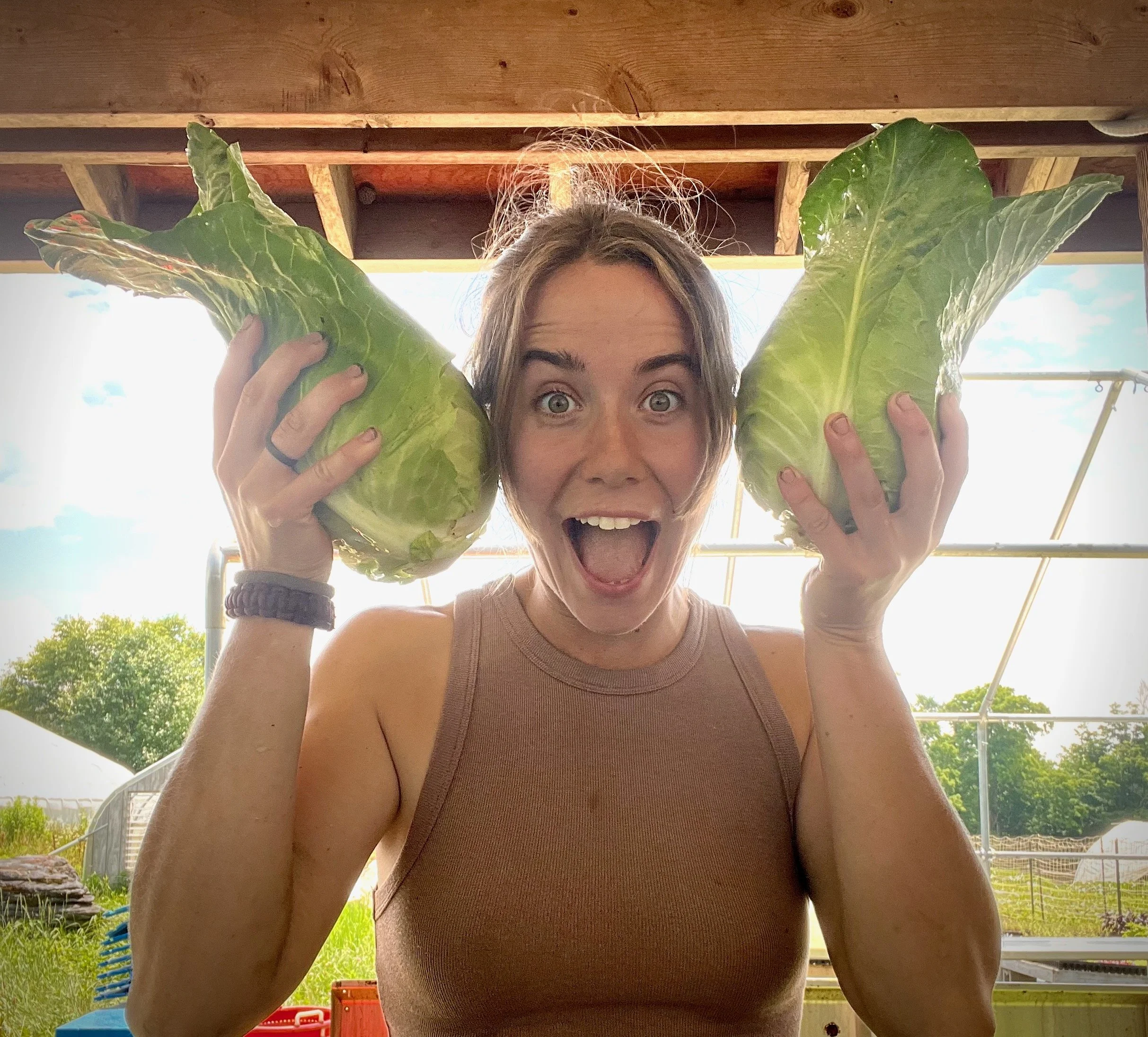 A woman holding two large cabbages in a greenhouse