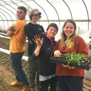 Four MCLA students in the high tunnel, one holding a tray of seedlings