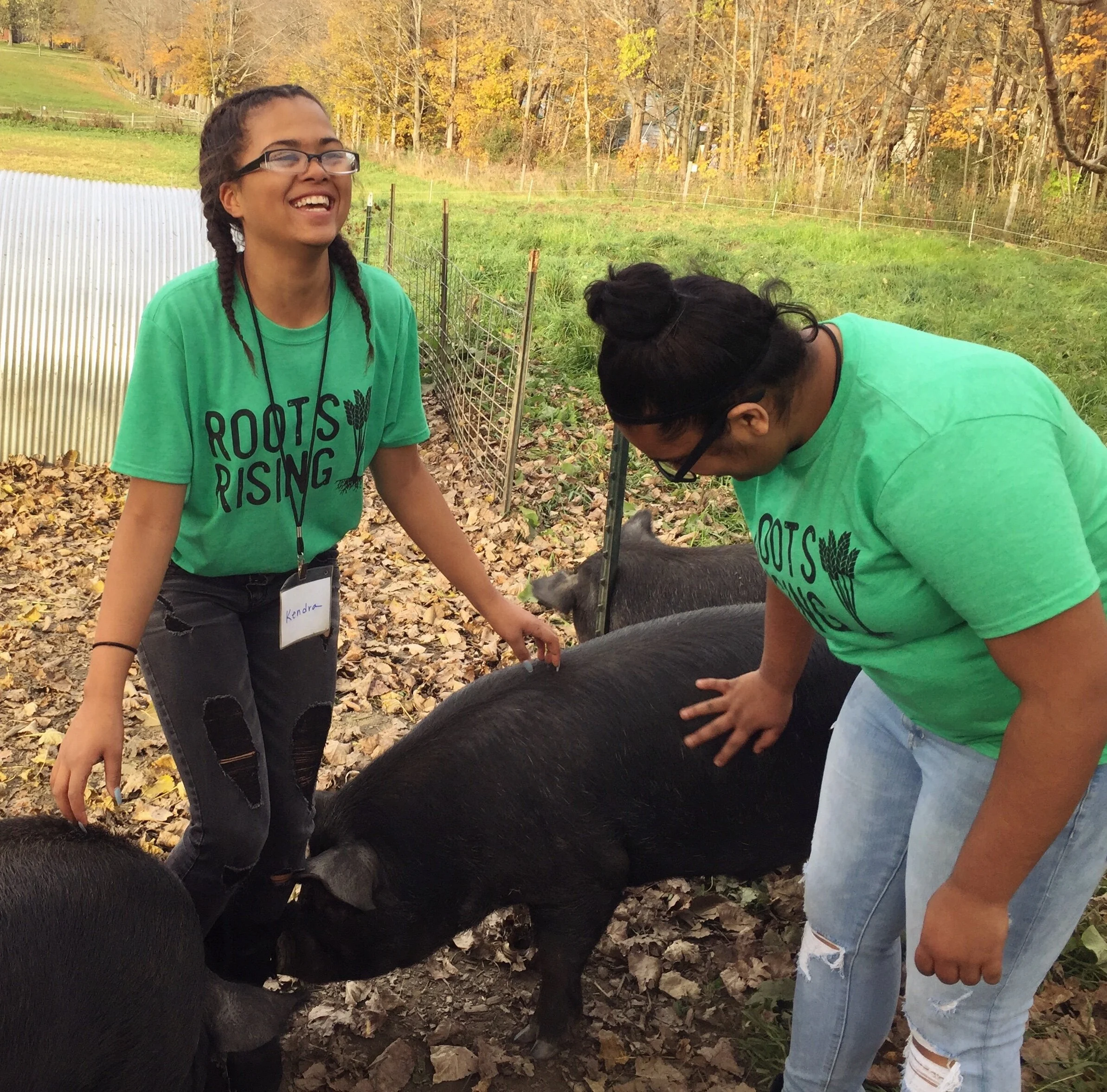 Two Roots Rising students petting black pigs in an autumn pasture
