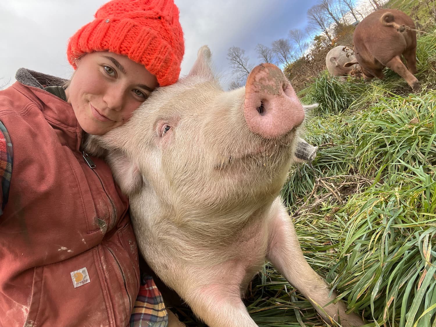 Sarah, one of the farmers at Red Shirt Farm, with pasture-raised heritage pigs on the farm in Lanesborough MA