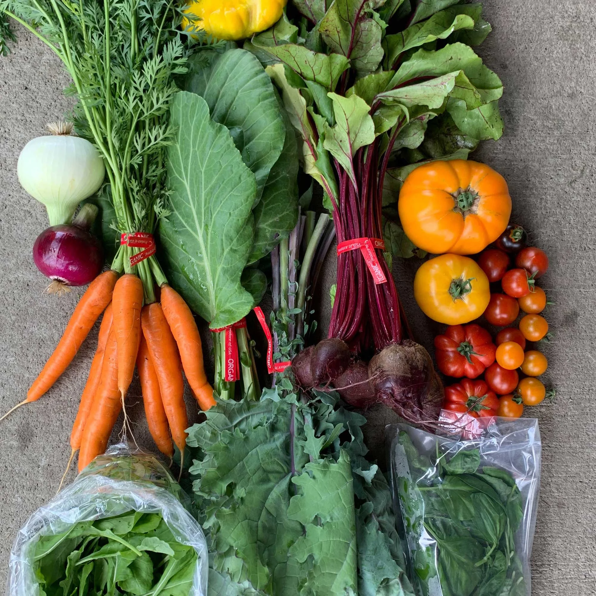 Fresh vegetables from Red Shirt Farm including carrots, beets, kale, tomatoes, onions, and salad greens, Lanesborough, MA