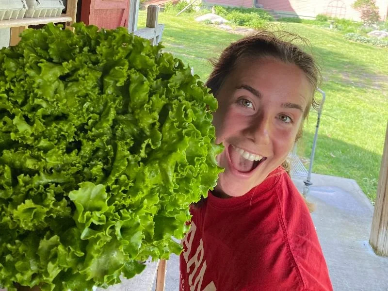 Sarah, Red Shirt Farm co-farmer, holding a large head of Starfighter green leaf lettuce and smiling