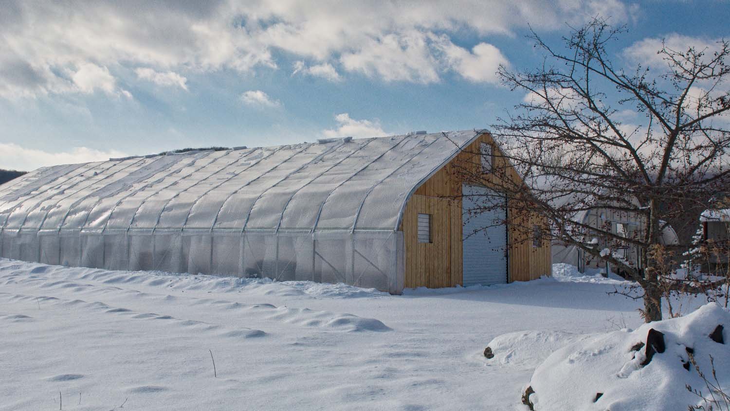 The Climate Battery greenhouse, a long plastic-covered hoop house with a wooden end wall, in the snow