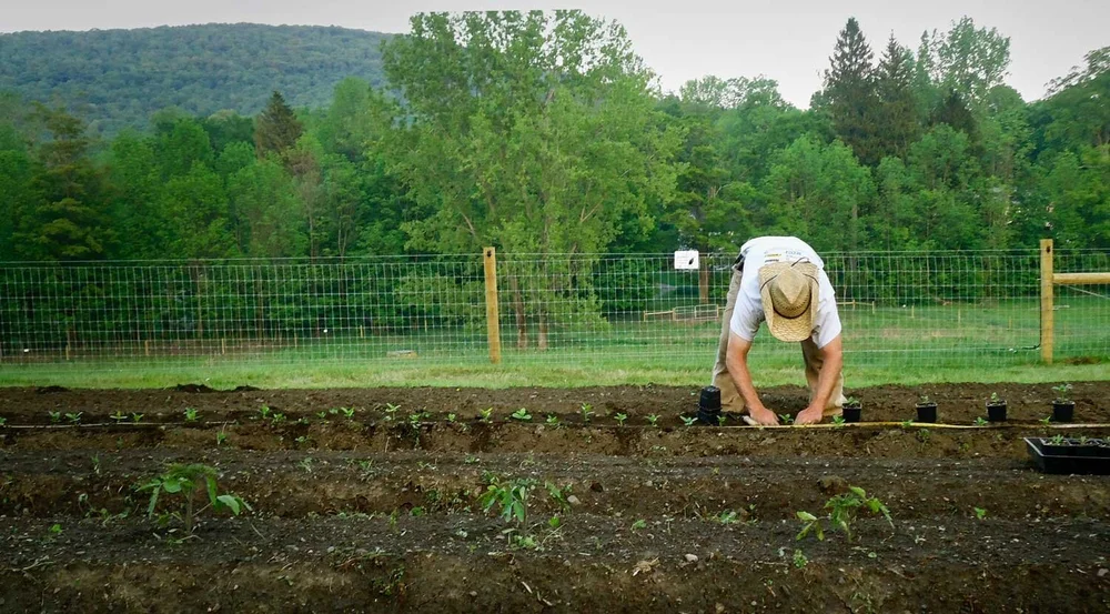 About Red Shirt Farm Inspiring Health, Nourishing Communities and