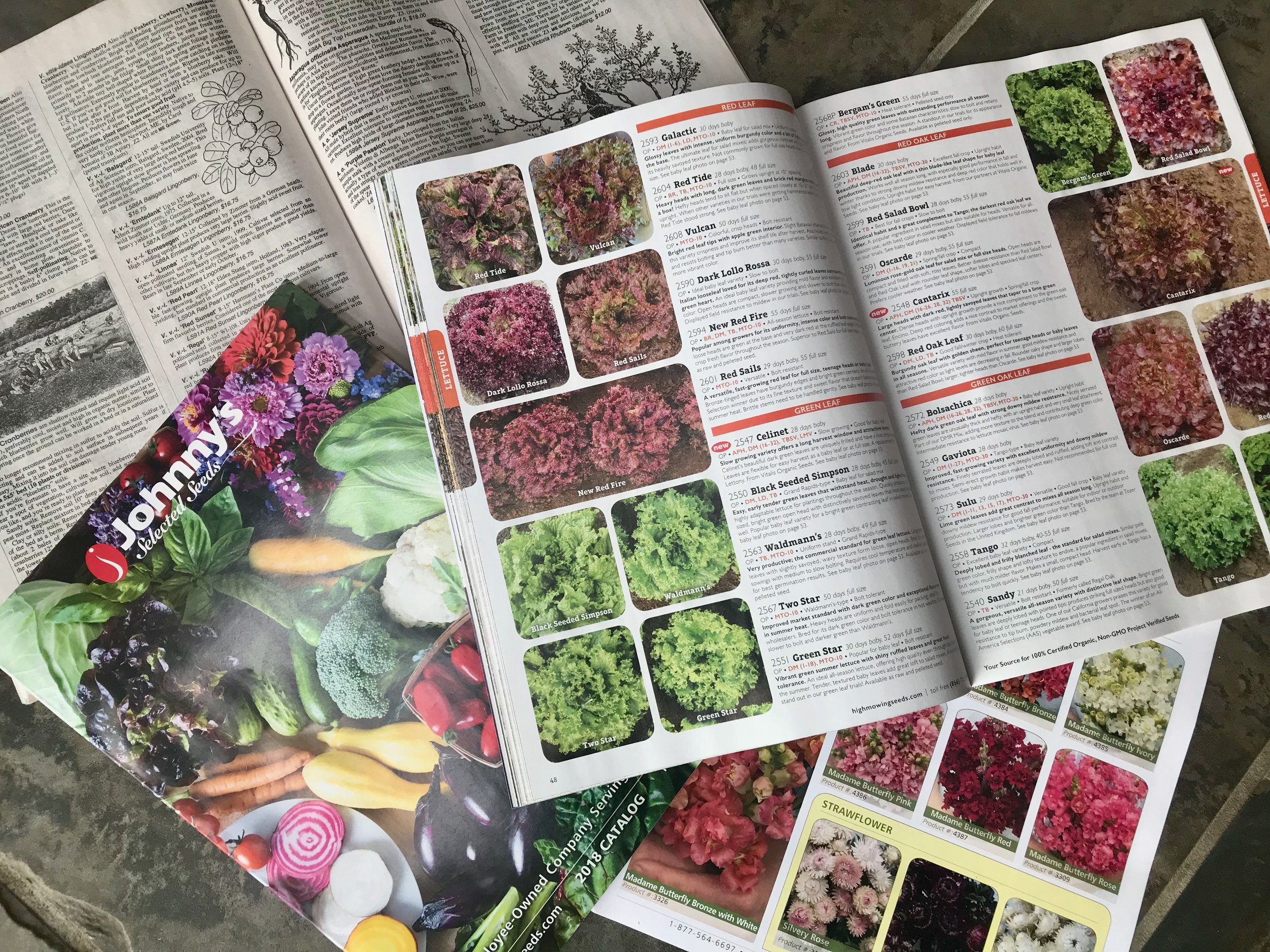 An open seed catalog showing lettuce varieties