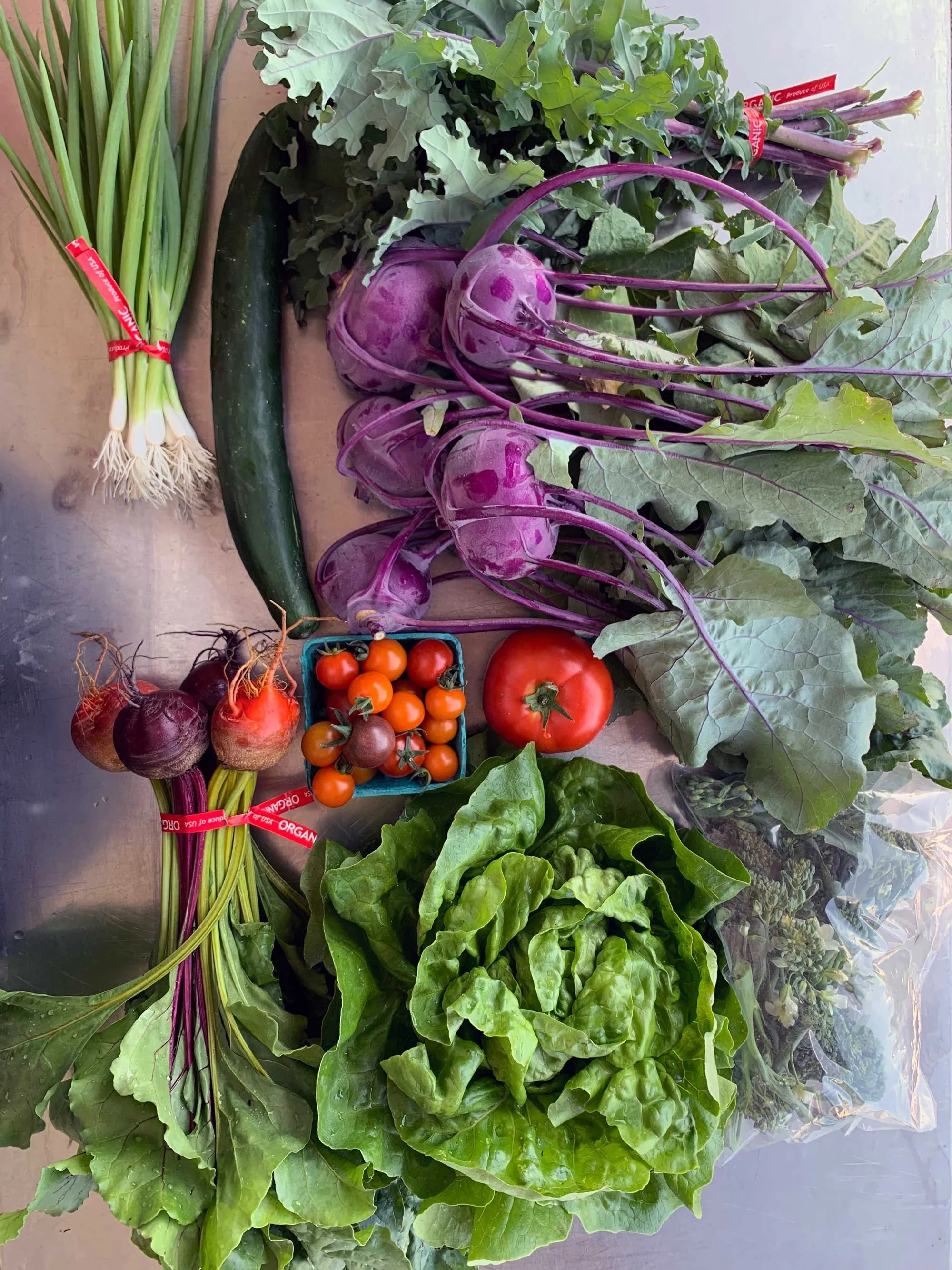 Fresh vegetables from Red Shirt Farm including kohlrabi, tomatoes, beets, lettuce, kale, and scallions, Lanesborough, MA