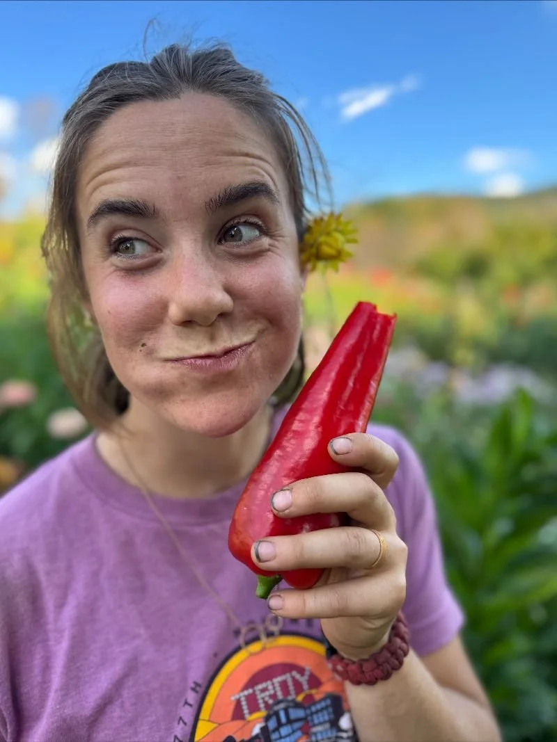 Sarah in the field holding a red Carmen pepper up to her cheek with a yellow flower behind her ear